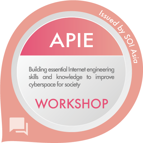 APIE e-Workshop