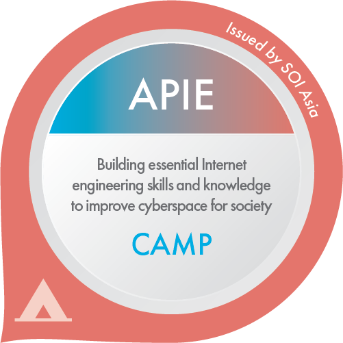 APIE Camp